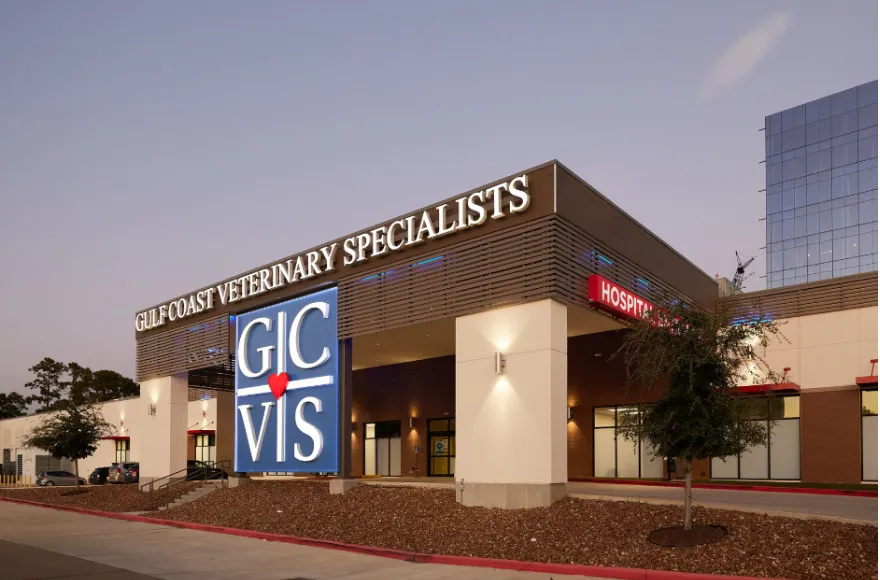 Gulf Coast Veterinary Specialists