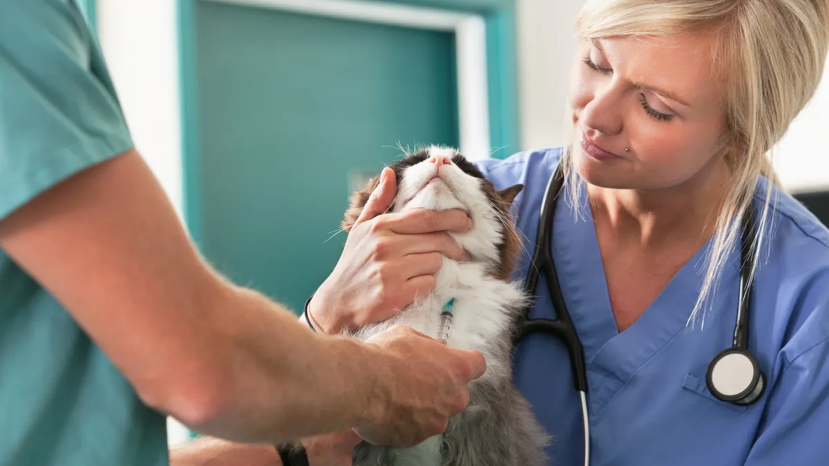 Berwick Animal Hospital