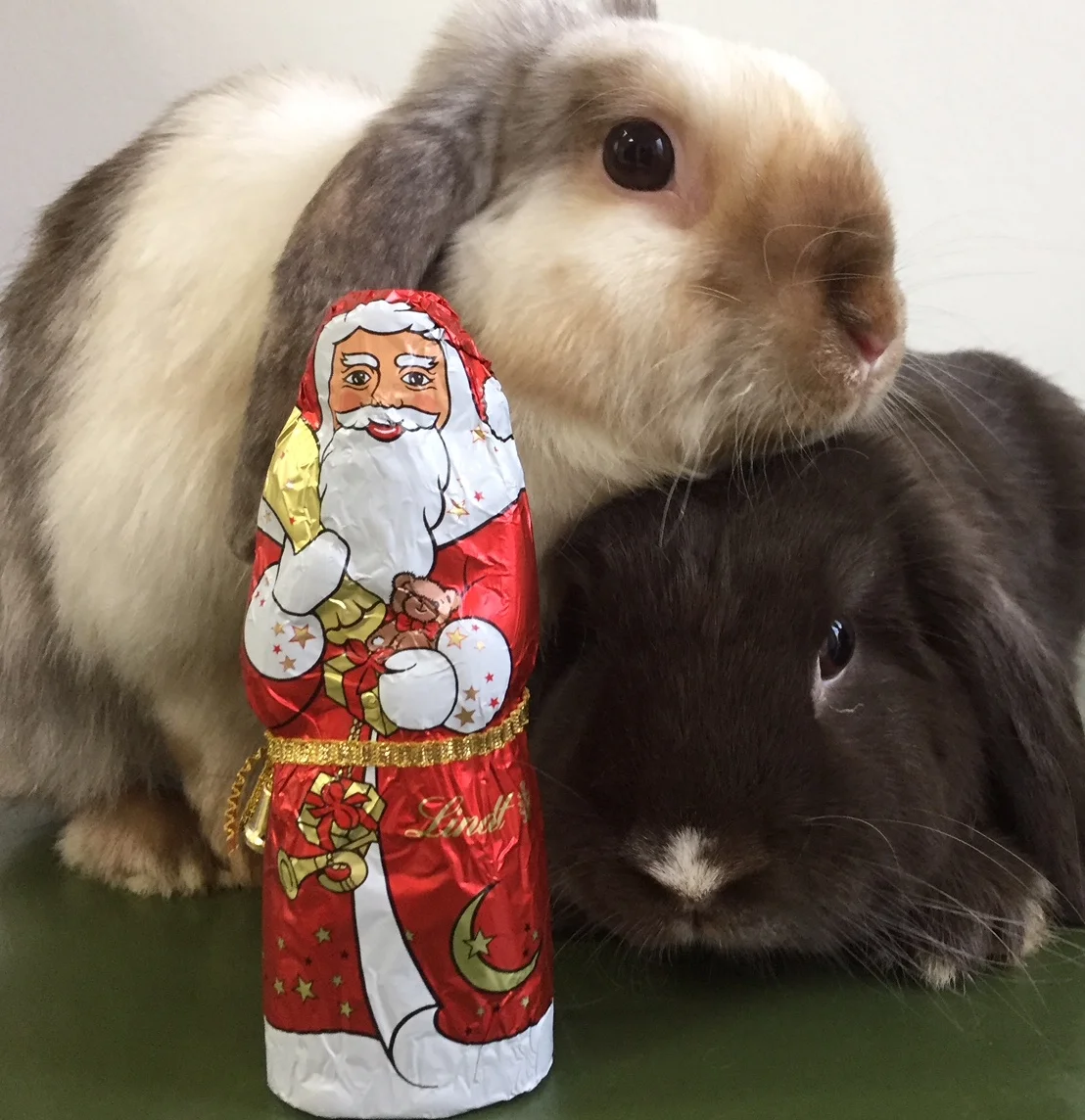 Tierarztpraxis PD Dr. med. vet. Thomas Göbel