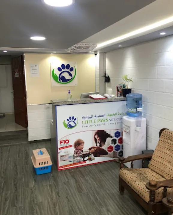 Little Angel Grooming