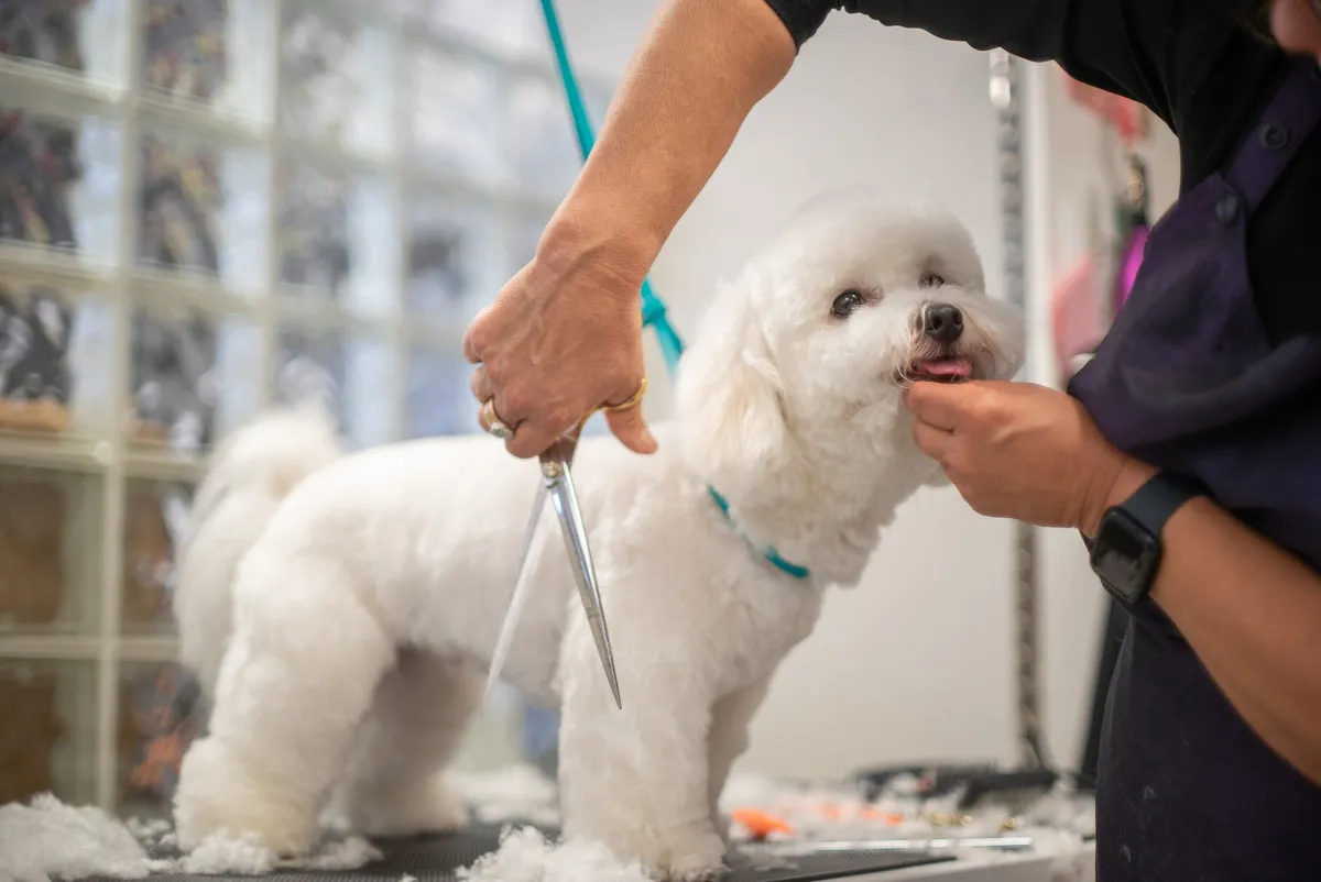 Dee's All Breed Grooming