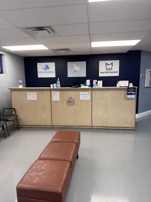 Canine Rehabilitation Of Nashville