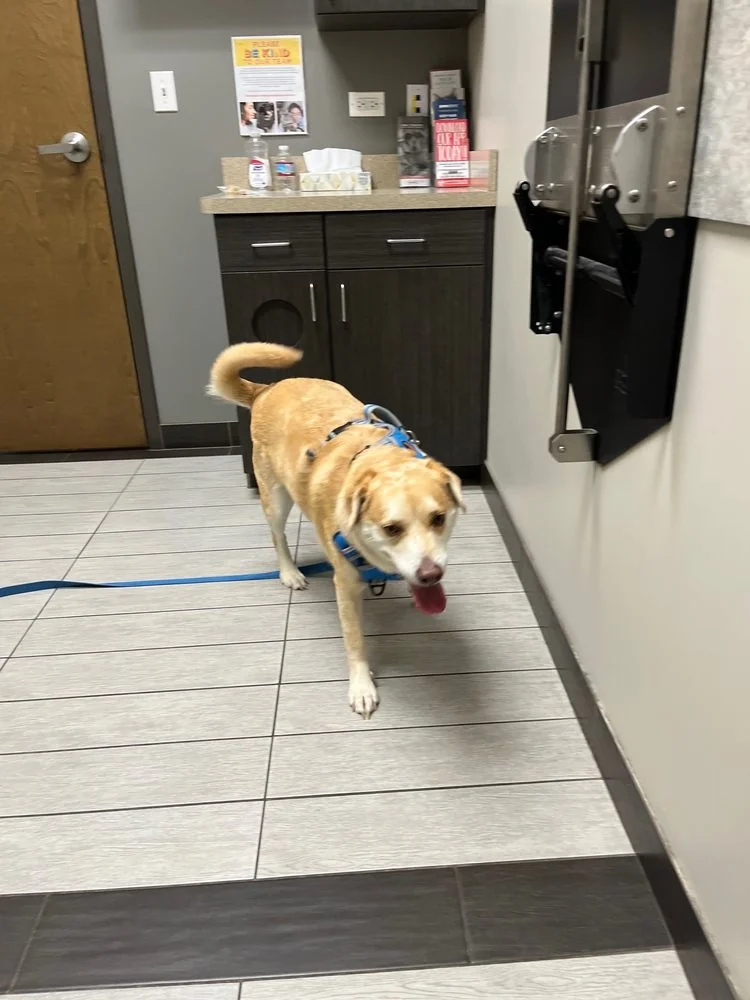 Animal Care Center of Downers Grove