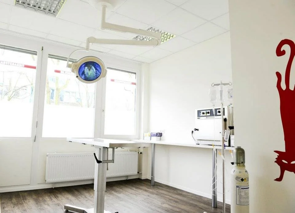 Tierarztpraxis Petra Morlock