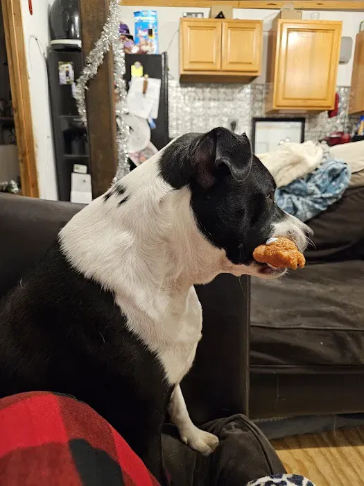 Neighborhood Veterinary Centers