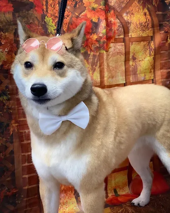 Inwood Animal Clinic