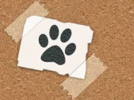 Four Paws Pet Sitters and Dog Boarding