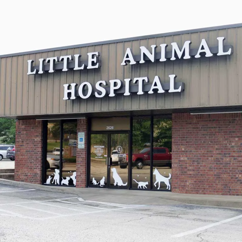 Little Animal Hospital