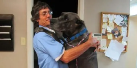 Pet Supplies Plus Cabot