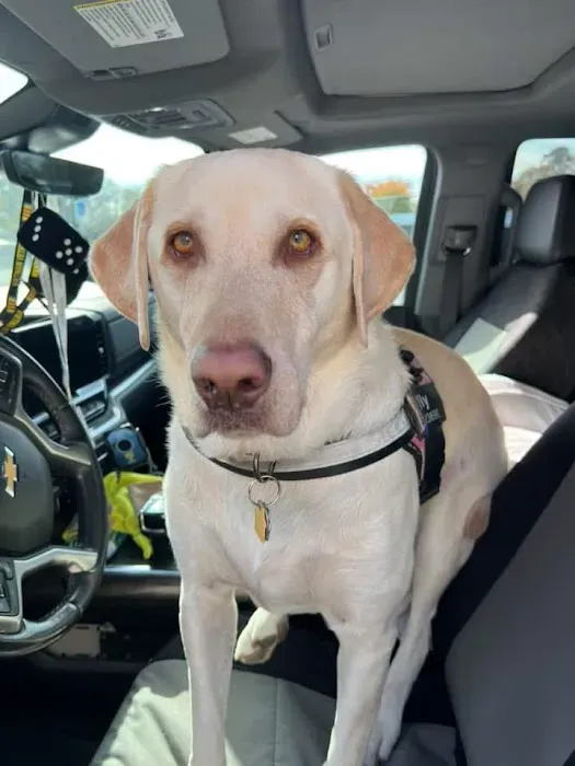 Nansemond Veterinary Clinic