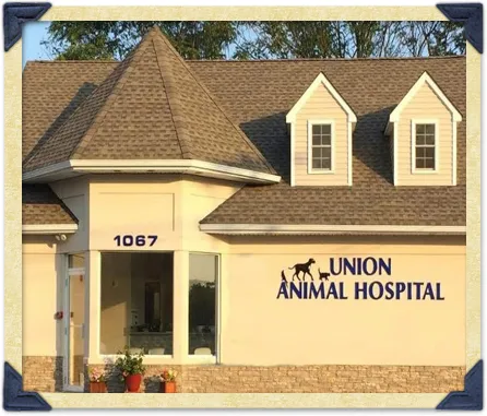 Boulevard Animal Hospital