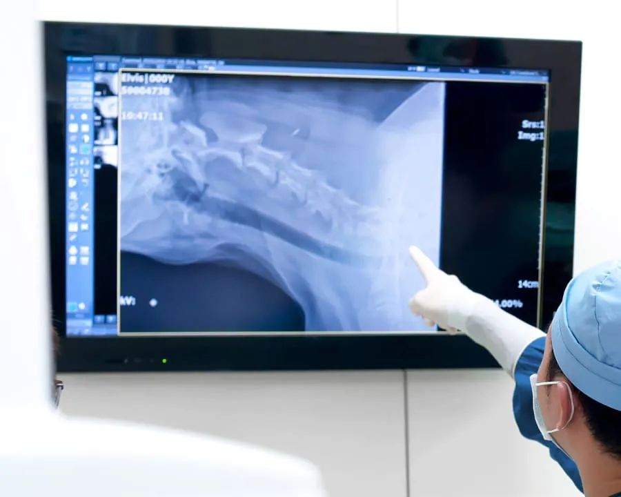 VIP Petcare - Benicia