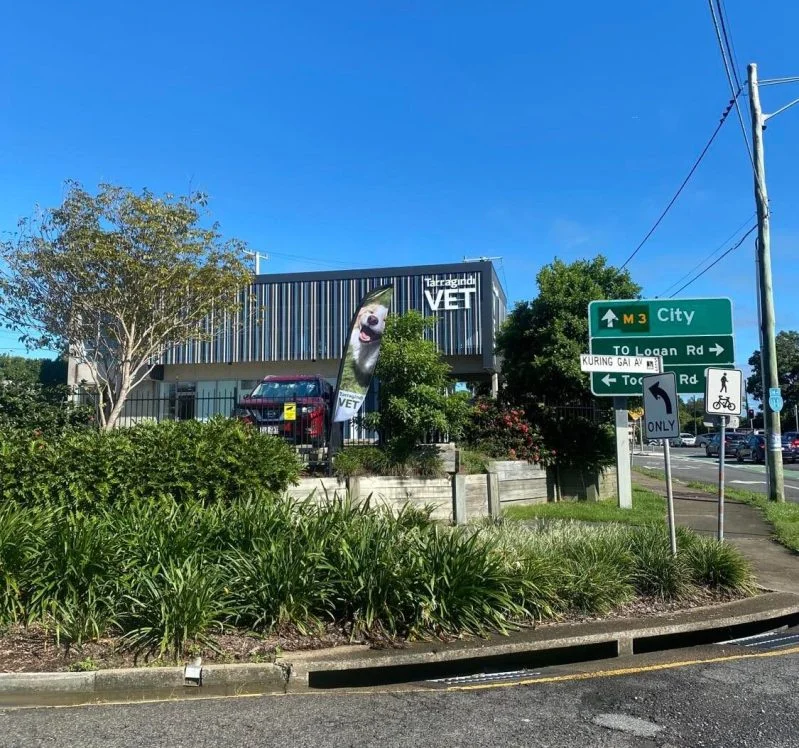 Tarragindi Veterinary Surgery