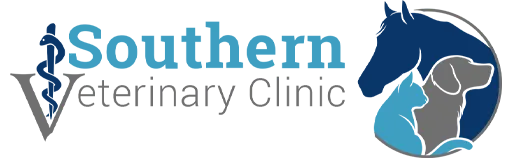 Southern Life Chiropractic