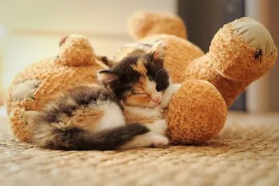 North Texas Veterinary Clinic