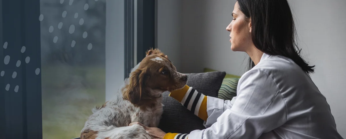 Halo At Home Veterinary Services