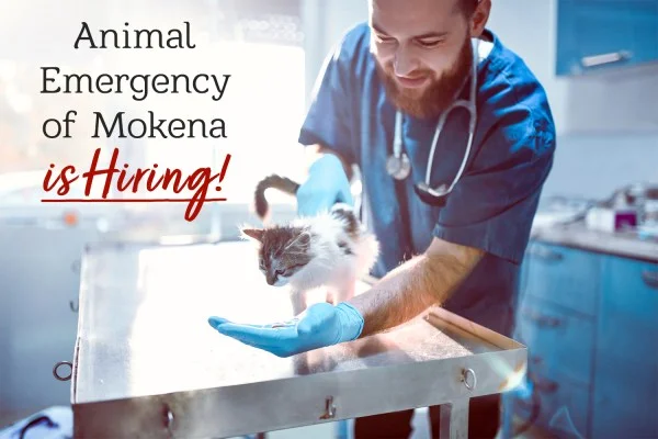 Animal Emergency of Mokena