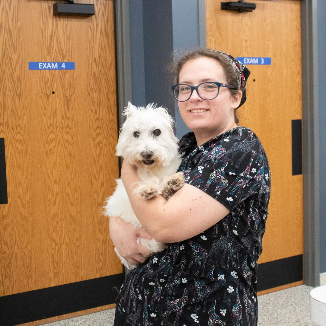 Plainfield Animal Hospital