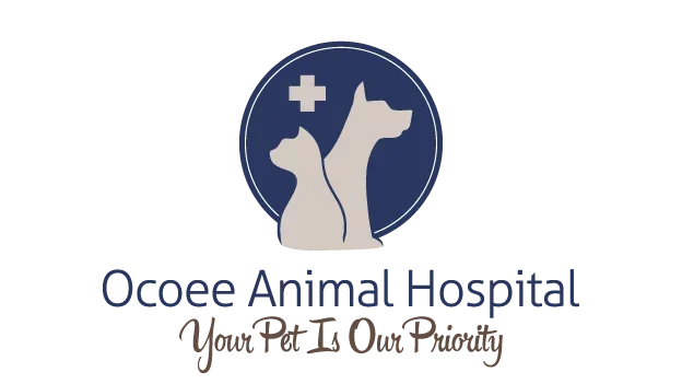 Ocoee Animal Hospital