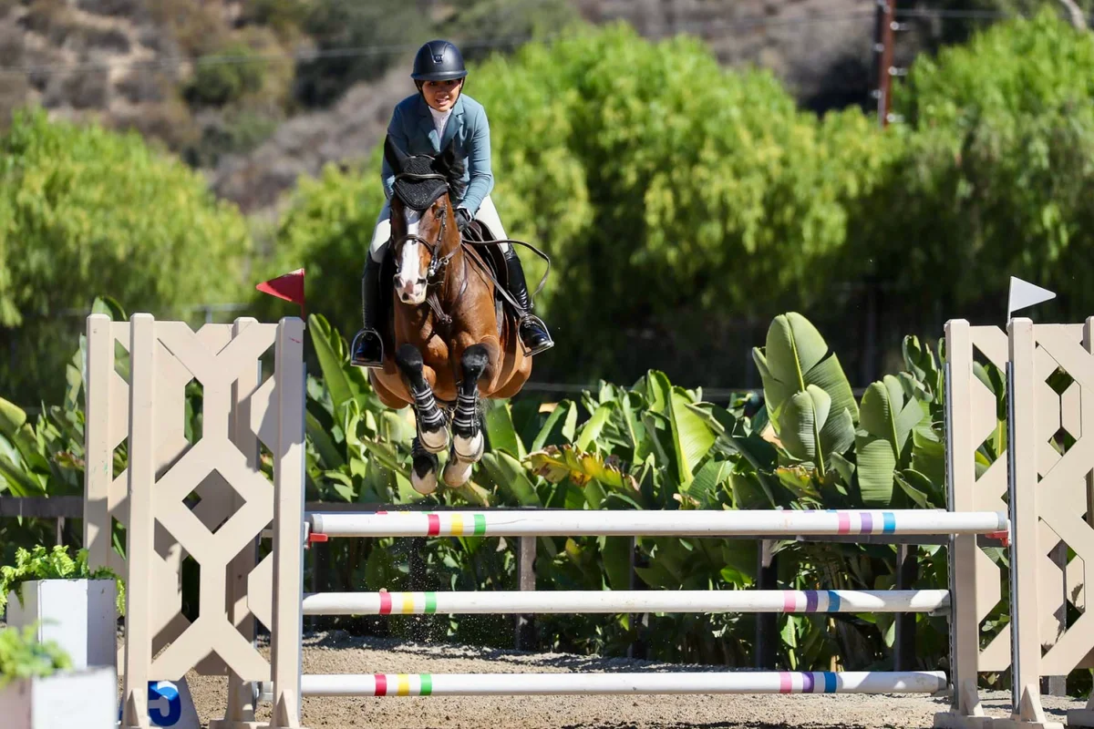West Coast Equine Medicine