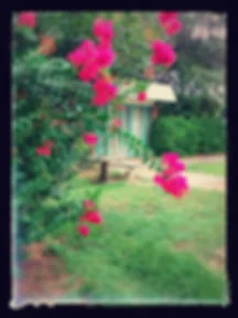 Santa Rosa Veterinary Clinic