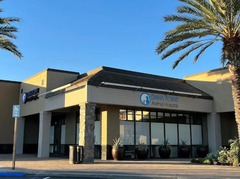 Dana Point Animal Hospital