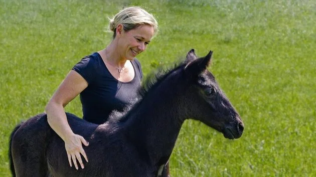 Christian Detmer Tierarzt