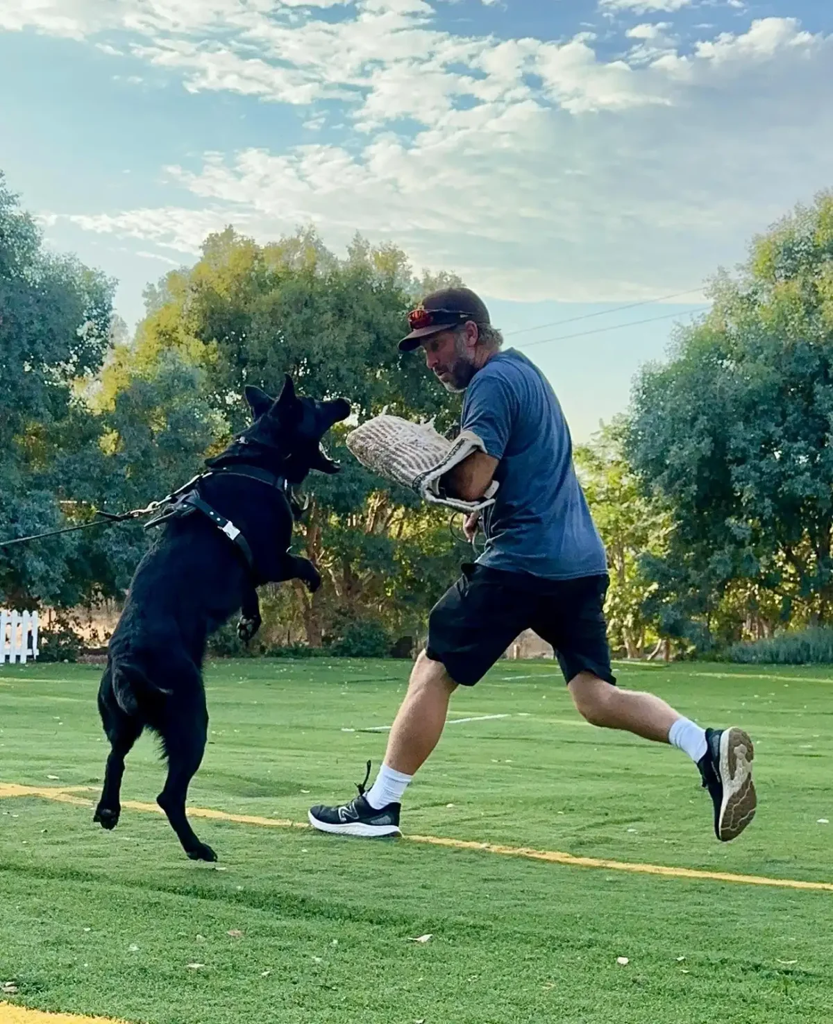 Taylor Made Working Dogs