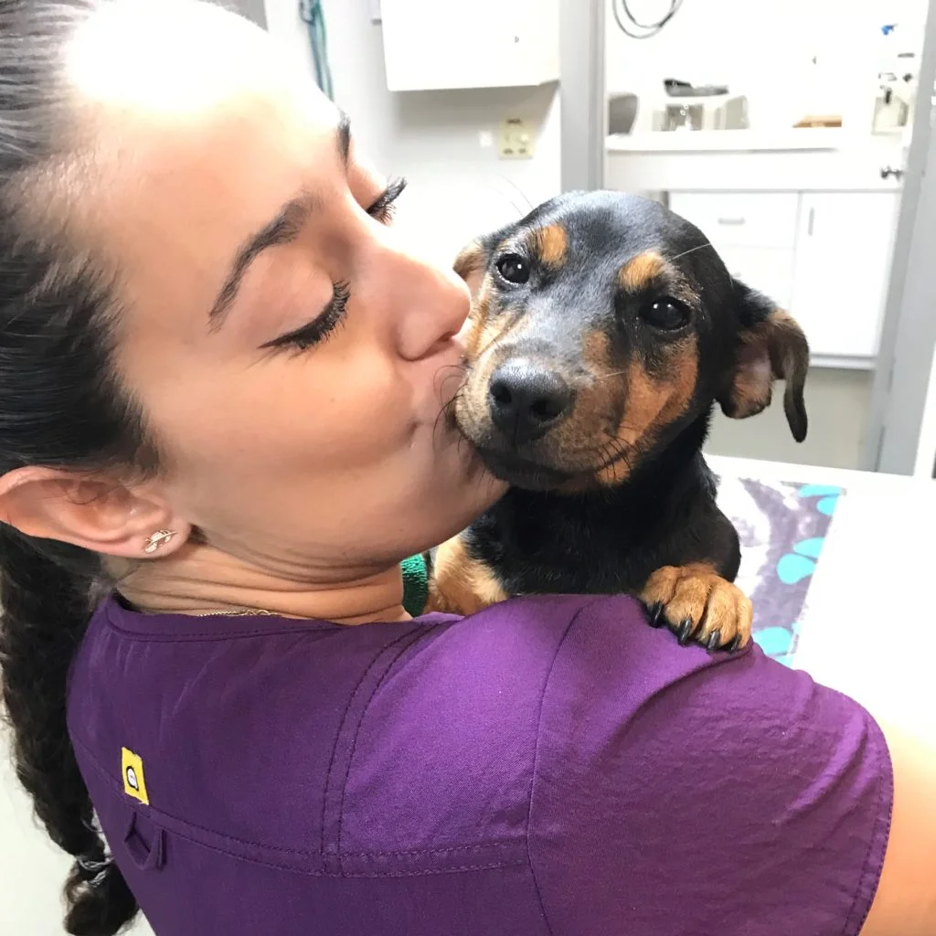 Sunshine Veterinary Hospital