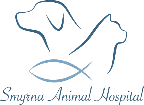 Vet Clinic in Smyrna & Marietta, GA