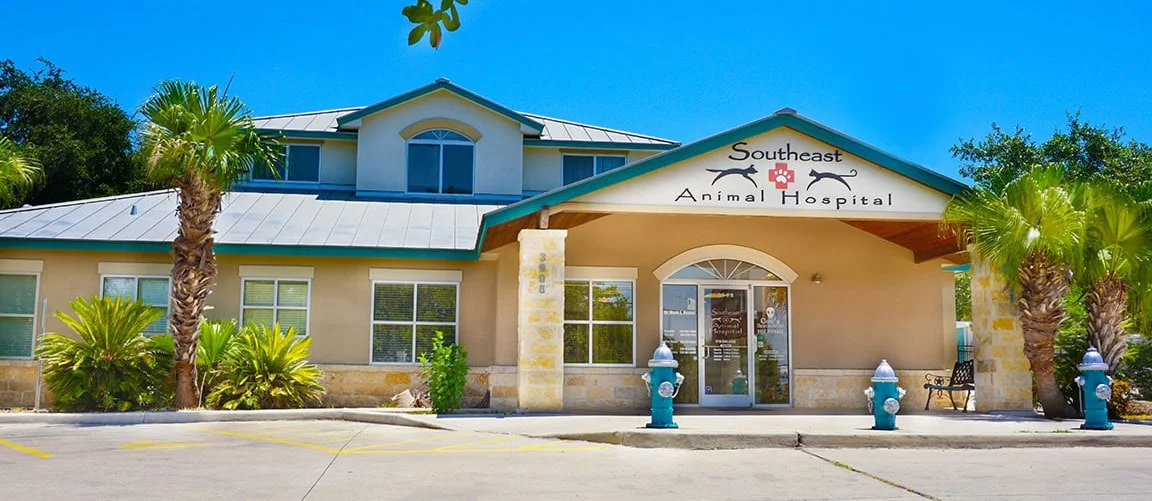 Southeast Animal Hospital