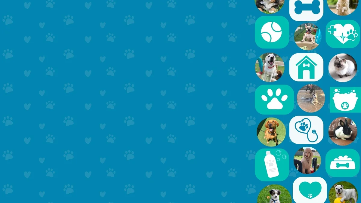 PetCoral Resort & Veterinary