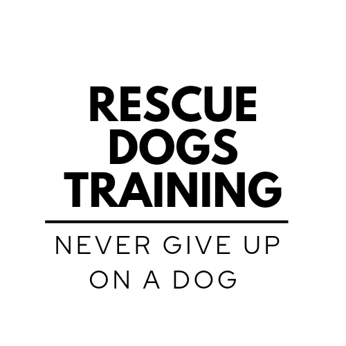 Rescue Dogs Training