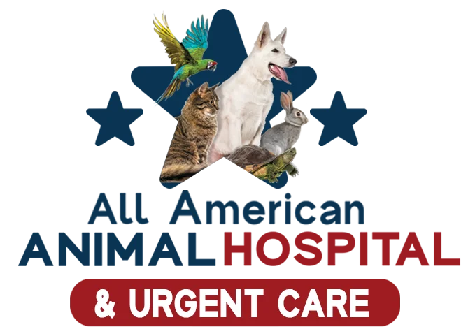 ALL American Animal Hospital