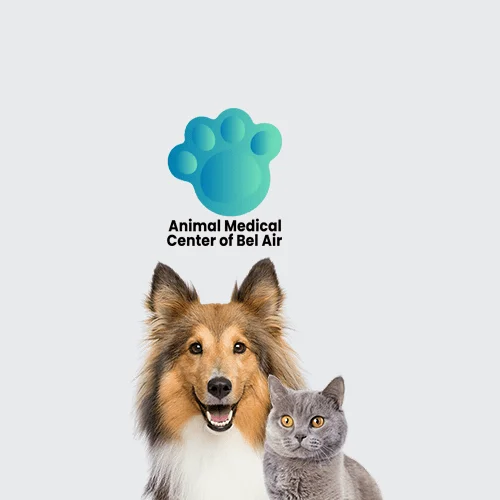 Animal Medical Center