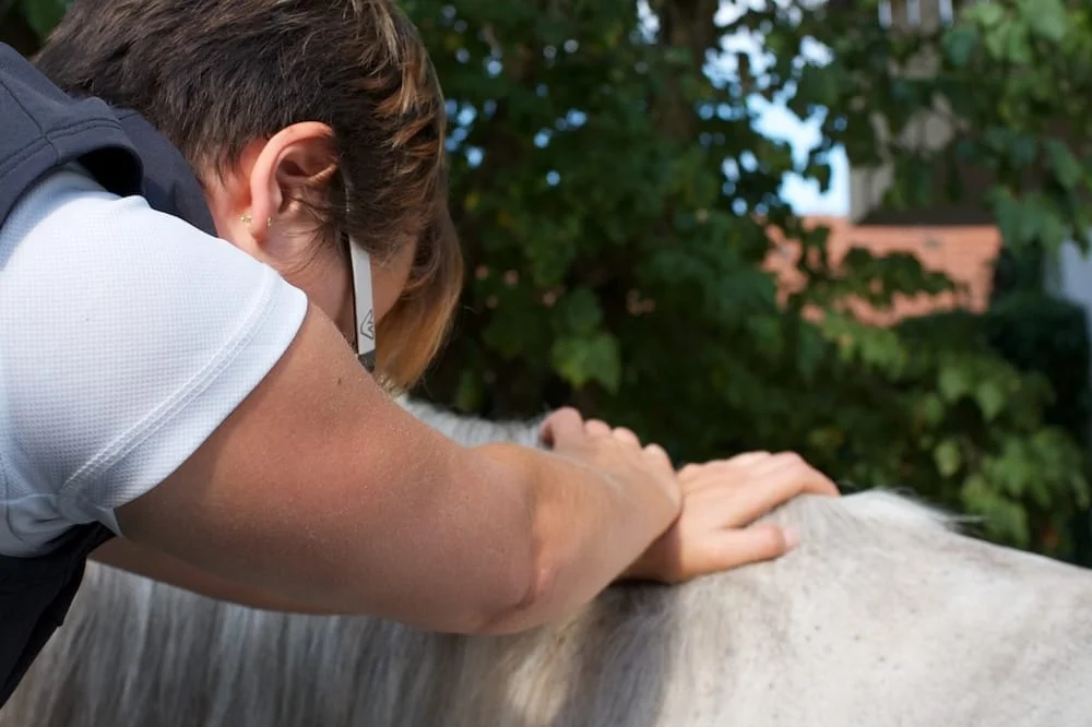 Mobile chiropraktische Tierarztpraxis