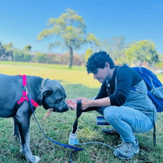 Plaza Veterinary Hospital