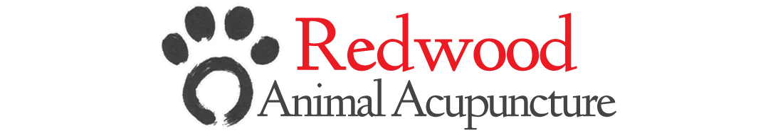 Redwood Animal Acupuncture