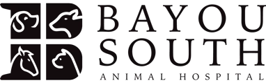Bayou South Animal Hospital
