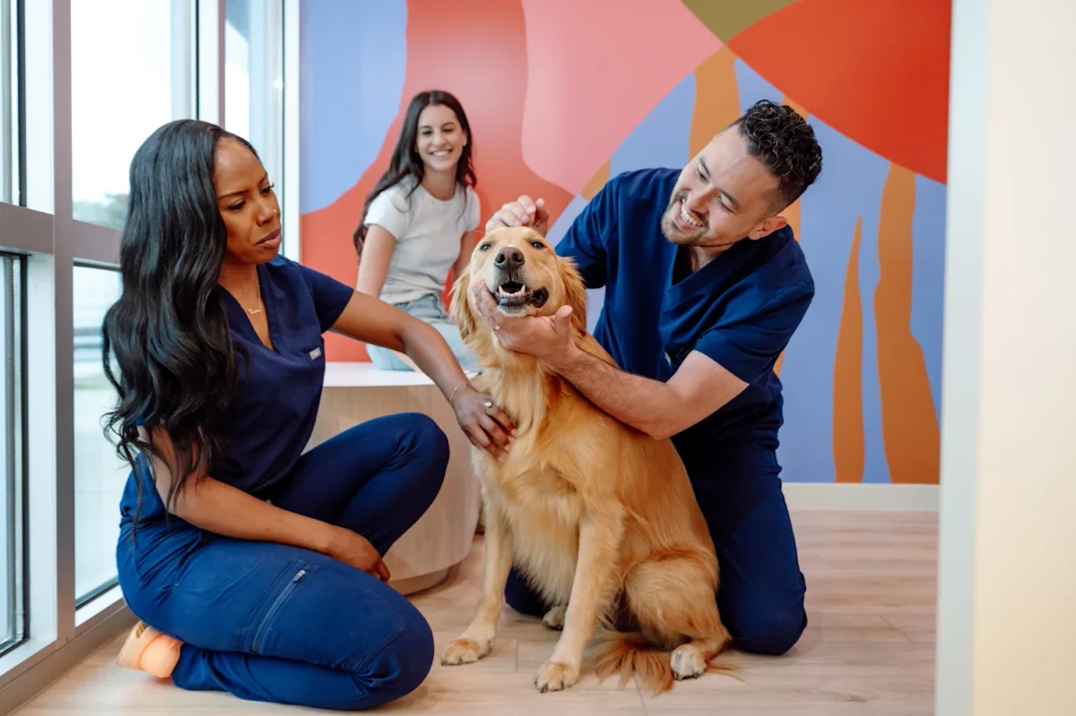 Petfolk Veterinary & Urgent Care - Sugar Land