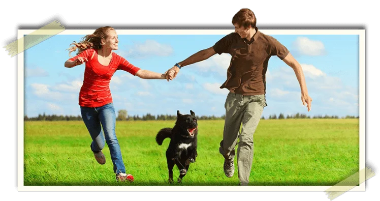 Morningside Animal Hospital