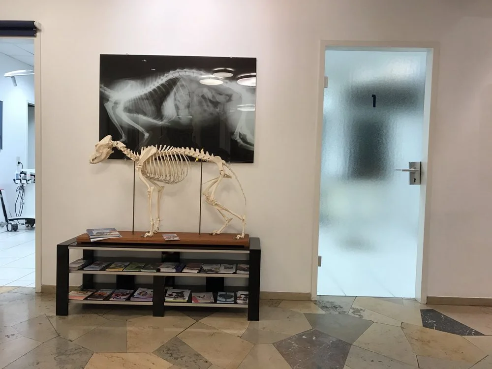 Tierärztliche Gemeinschaftspraxis