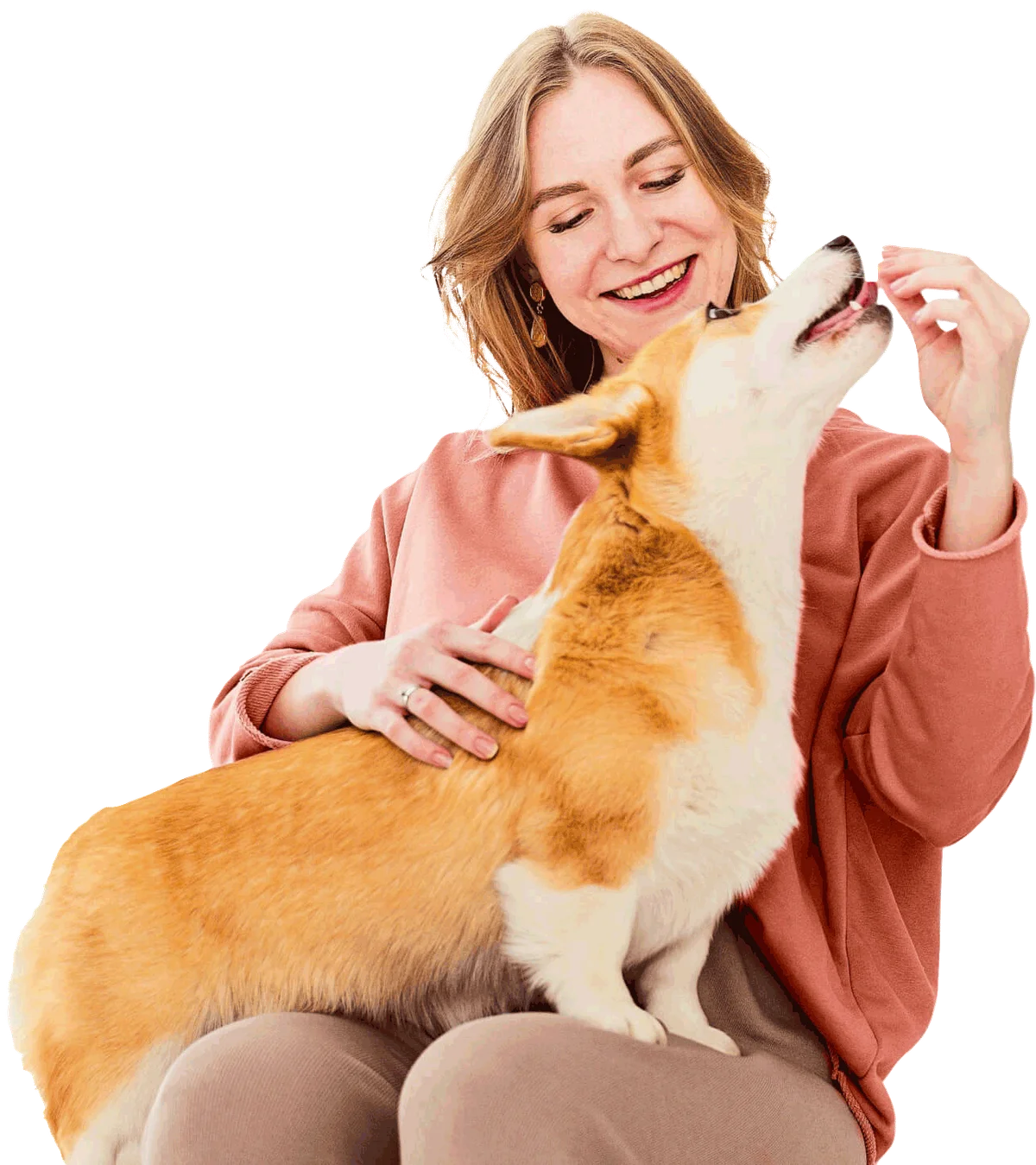 Muirfield Animal Hospital