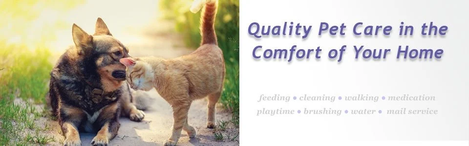 Four Paws Pet Sitting Services