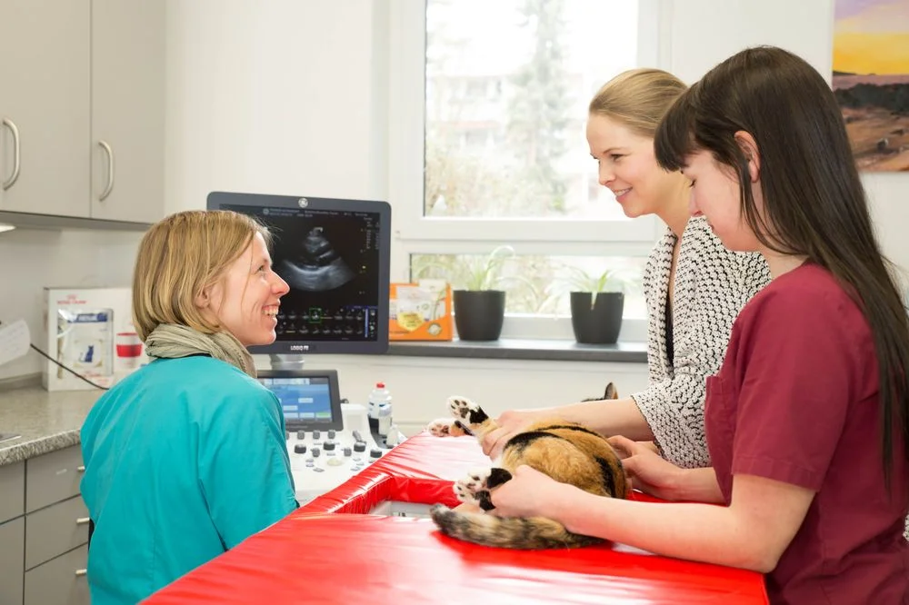 Tierklinik Am Stadtpark GmbH