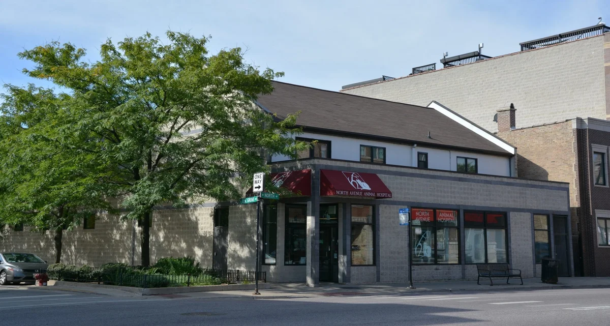 North Avenue Animal Hospital