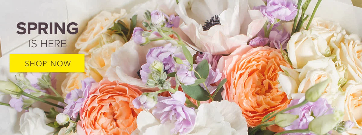 Huntington Beach Florist