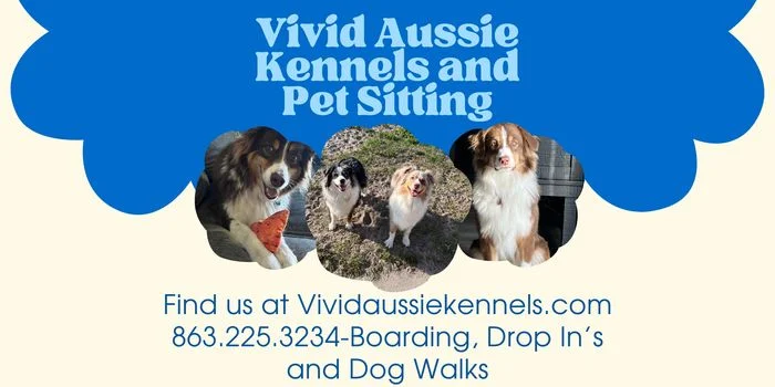 Vivid Aussie Kennels and Pet Sitting