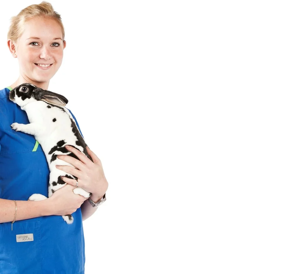 White Cross Vets - Kings Heath