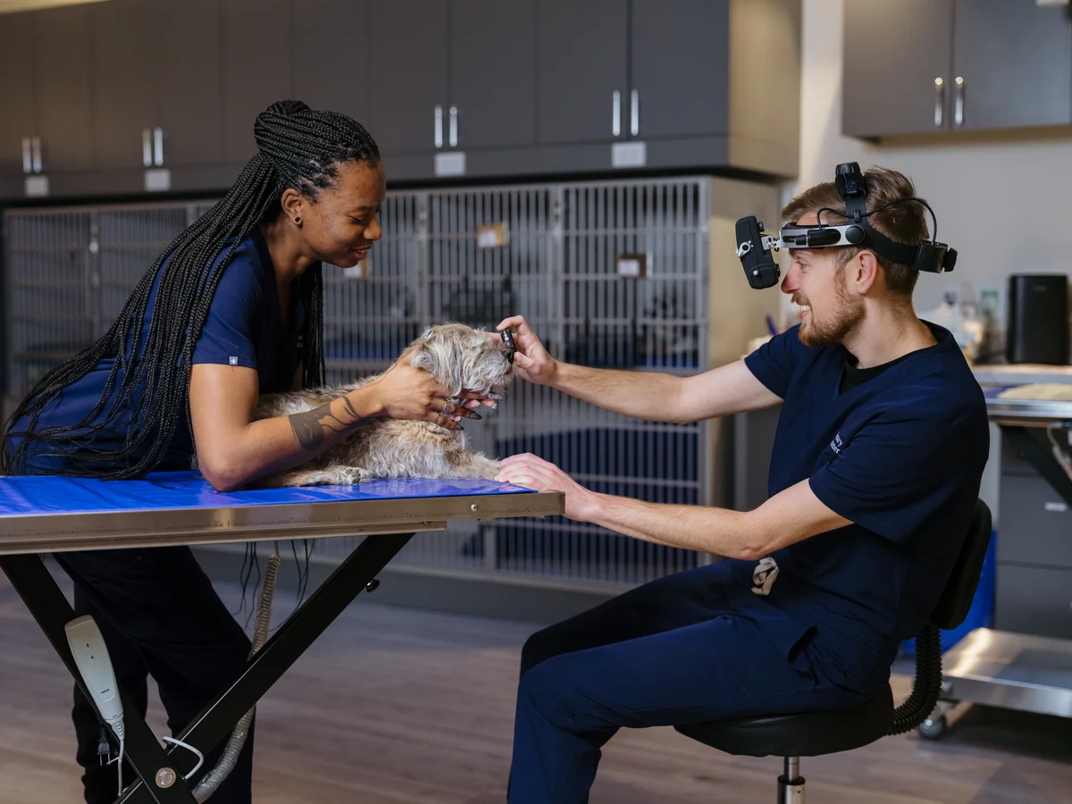 Veterinary Eye Center of New York City (Long Island City)